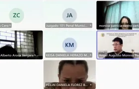 Alias 'Karina' en audiencia. 