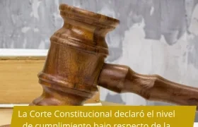 Imagen de referencia.