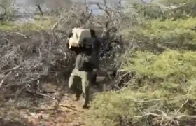 La droga fue hallada en una bodega subterránea en el municipio Uribia. 
