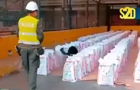 Incautación de droga.