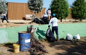 Jornada de limpieza playa