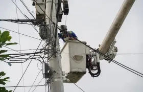 Imagen de referencia.