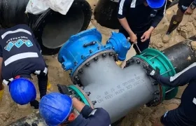 Imagen de referencia.