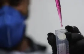 Imagen de referencia.