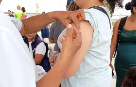 Imagen de referencia.