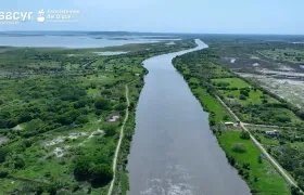 Imagen de referencia.