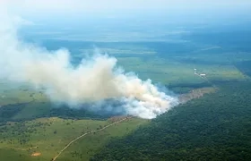 Incendios forestales.