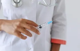 Imagen de referencia.