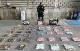 La mercancía aprehendida.