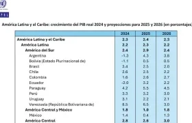 Cuadro entregado por la Cepal.