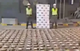 La cocaína incautada por la Policía en Cartagena. 