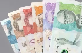 Imagen de referencia.