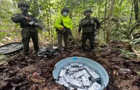 Incautación de clorhidrato de cocaína.