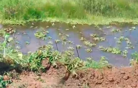 Jagüey donde fue hallado sin vida Isaías de Jesús Castro Aguilar.