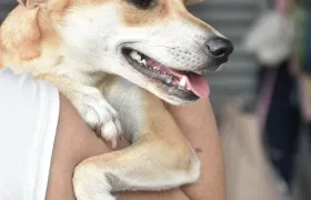 Imagen de referencia.