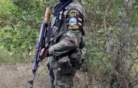 Integrante de las ACSN.