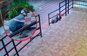 Imagen del ladrón y su último hurto en el barrio.