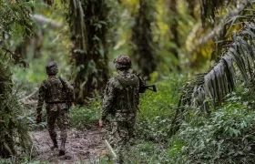 Imagen de referencia.