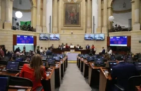 Plenaria del Senado.