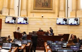 Plenaria del Senado.