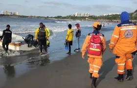 Imagen de referencia.