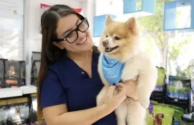 Las mascotas sufren con la pólvora