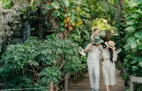 Hay varios planes para la familia en el Zoológico. 