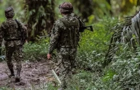Operativos del Ejército.