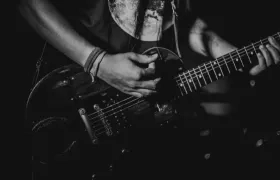 Imagen de referencia