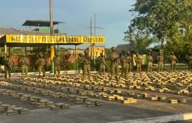 Marihuana incautada. 