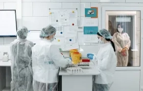 Imagen de referencia.