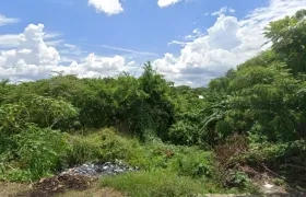 Zona enmontada en el municipio de Baranoa. 