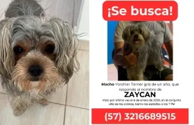 Una foto de Zaykan y el afiche que su familia está distribuyendo