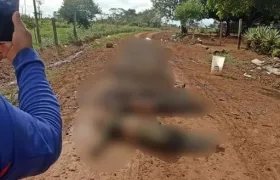 Combate entre disidencias