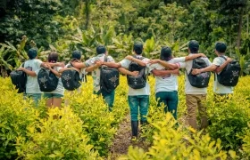 Educación en el Catatumbo.