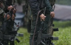 Imagen de referencia 