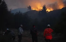 Incendios forestales en Chile