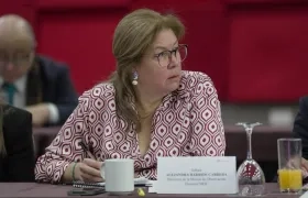 Alejandra Barrios, directora de la MOE.