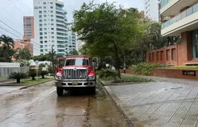 Imagen de referencia.