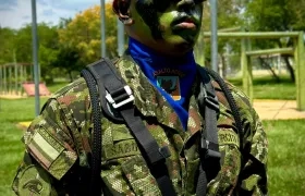 Imagen de referencia.