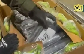 Cocaína incautada. 