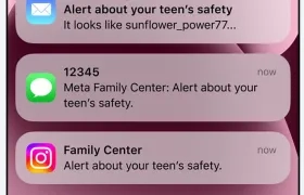 Imagen de la notificación de alerta.