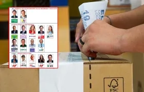 Tarjetón para las consultas del 8 de marzo