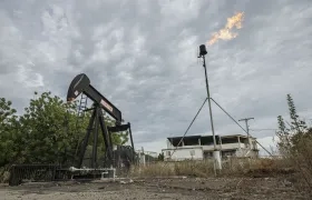 Imagen de referencia.