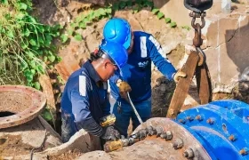 Imagen de referencia.