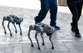 Dos de los perros robots que serán utilizados durante el próximo Mundial.