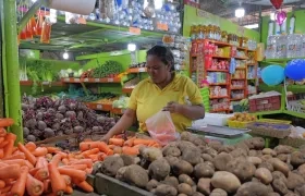 Compradora en Granabastos. 