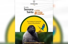 Imagen del Ministerio de Ambiente.