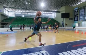 Imagen de referencia.