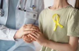 Imagen de referencia. 